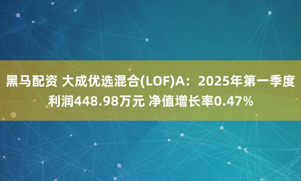 黑马配资 大成优选混合(LOF)A：2025年第一季度利润448.98万元 净值增长率0.47%