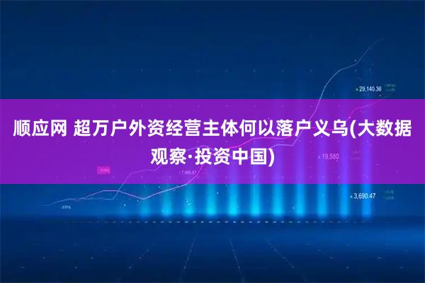 顺应网 超万户外资经营主体何以落户义乌(大数据观察·投资中国)